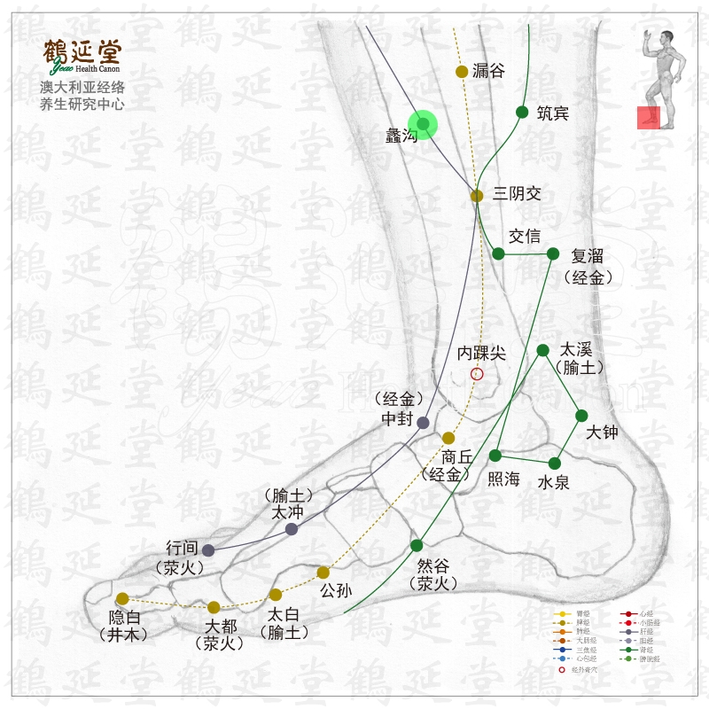 【别名】    交仪 【所属经络】     足厥阴肝经 【穴位位置】